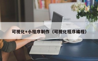 衡水可视化+小程序制作（可视化程序编程）